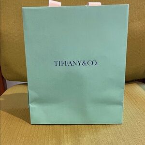 Tiffany & Co. Blue Gift Bag
